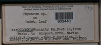Image Associated With the Occurence
